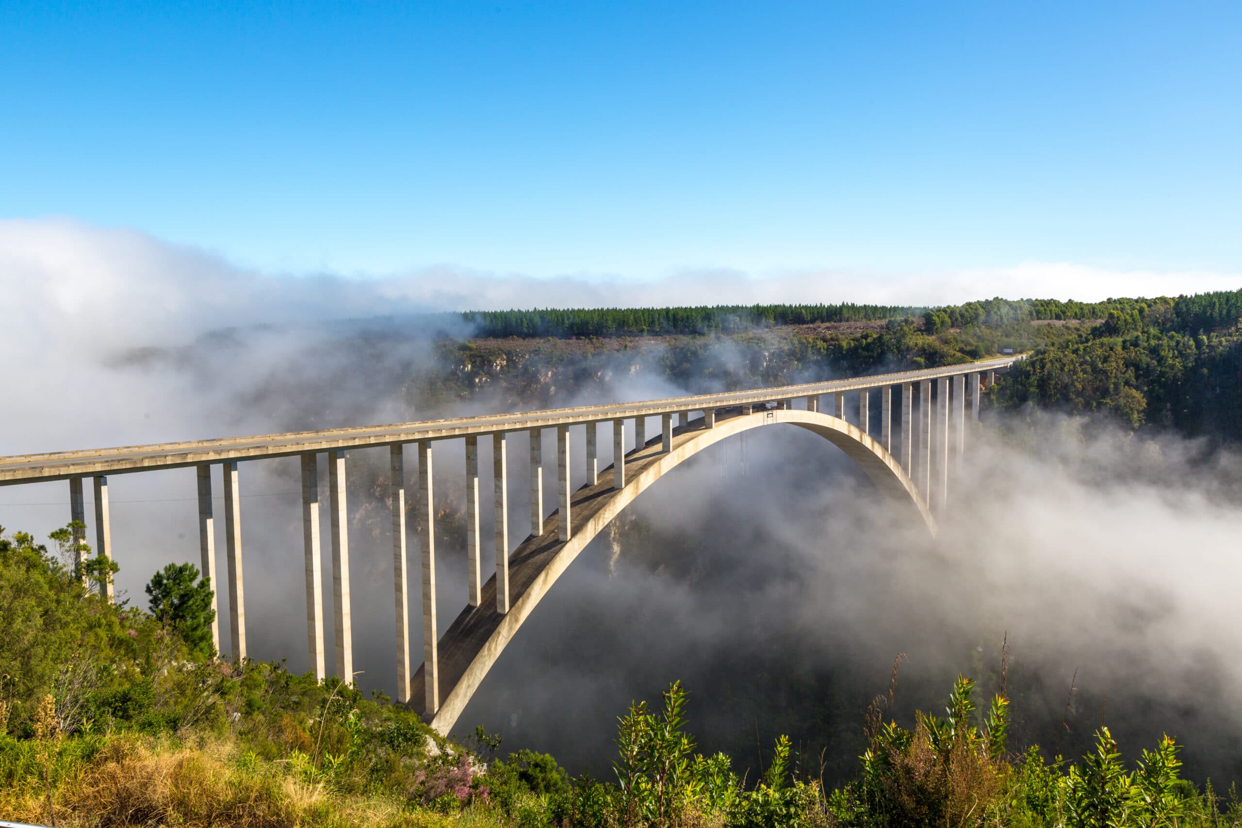 Garden Route View