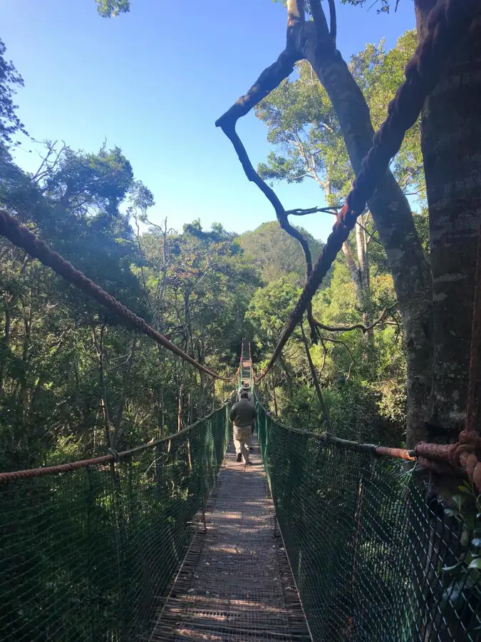 Knysna photo